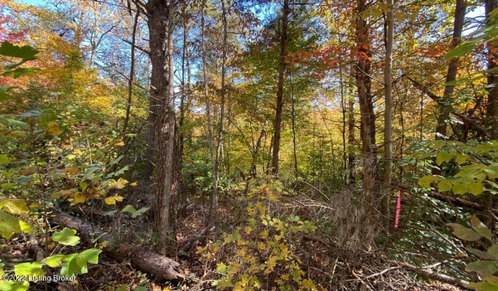 L59 Ted Logsdon Rd, Clarkson, Kentucky 42726, ,Land,For Sale,Ted Logsdon,1615085