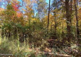 L59 Ted Logsdon Rd, Clarkson, Kentucky 42726, ,Land,For Sale,Ted Logsdon,1615085