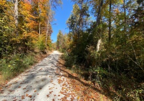 L59 Ted Logsdon Rd, Clarkson, Kentucky 42726, ,Land,For Sale,Ted Logsdon,1615085