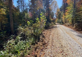 L59 Ted Logsdon Rd, Clarkson, Kentucky 42726, ,Land,For Sale,Ted Logsdon,1615085