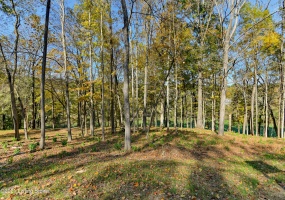 11 Fincastle Farms Trace, Prospect, Kentucky 40059, ,Land,For Sale,Fincastle Farms,1600548