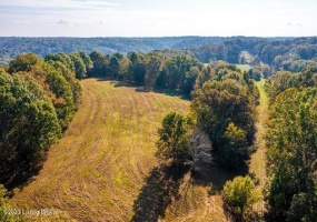 1003 Dryden Rd, Taylorsville, Kentucky 40071, ,Land,For Sale,Dryden,1630216