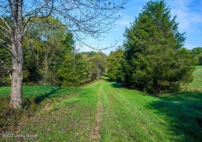 1003 Dryden Rd, Taylorsville, Kentucky 40071, ,Land,For Sale,Dryden,1630216