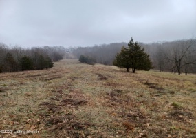 1003 Dryden Rd, Taylorsville, Kentucky 40071, ,Land,For Sale,Dryden,1630216