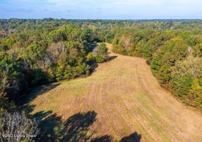 1003 Dryden Rd, Taylorsville, Kentucky 40071, ,Land,For Sale,Dryden,1630216