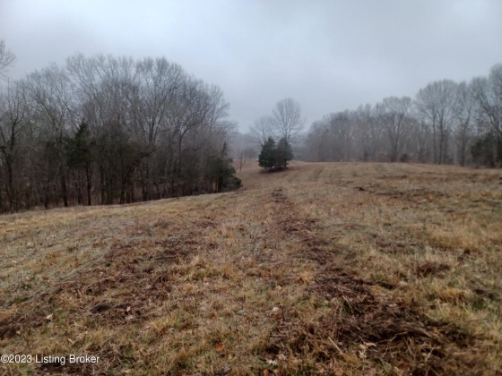 1003 Dryden Rd, Taylorsville, Kentucky 40071, ,Land,For Sale,Dryden,1630216