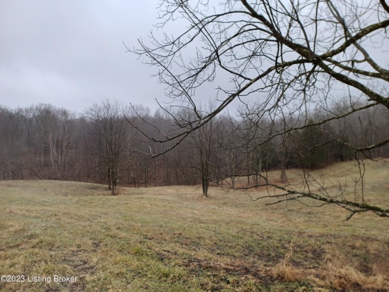 1003 Dryden Rd, Taylorsville, Kentucky 40071, ,Land,For Sale,Dryden,1630216