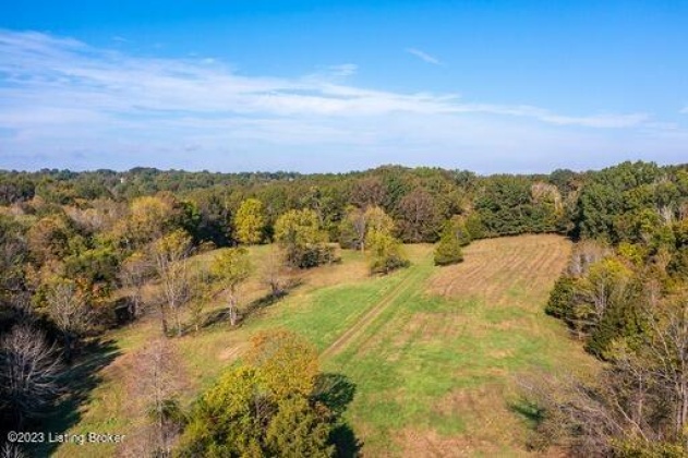 1003 Dryden Rd, Taylorsville, Kentucky 40071, ,Land,For Sale,Dryden,1630216