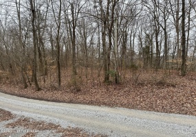 #95 Blueberry Hill, Bee Springs, Kentucky 42207, ,Land,For Sale,Blueberry Hill,1630899