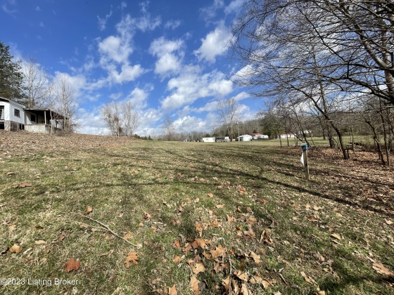 12 & 12S Mercer Bend Rd, Leitchfield, Kentucky 42754, ,Land,For Sale,Mercer Bend,1631796