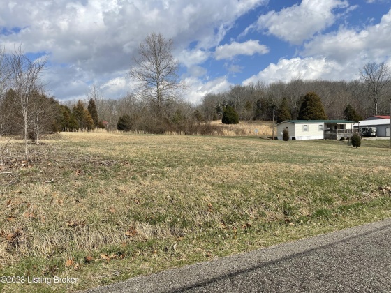 12 & 12S Mercer Bend Rd, Leitchfield, Kentucky 42754, ,Land,For Sale,Mercer Bend,1631796