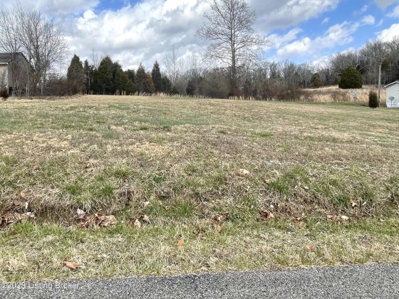 12 & 12S Mercer Bend Rd, Leitchfield, Kentucky 42754, ,Land,For Sale,Mercer Bend,1631796