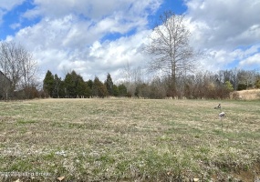 12 & 12S Mercer Bend Rd, Leitchfield, Kentucky 42754, ,Land,For Sale,Mercer Bend,1631796