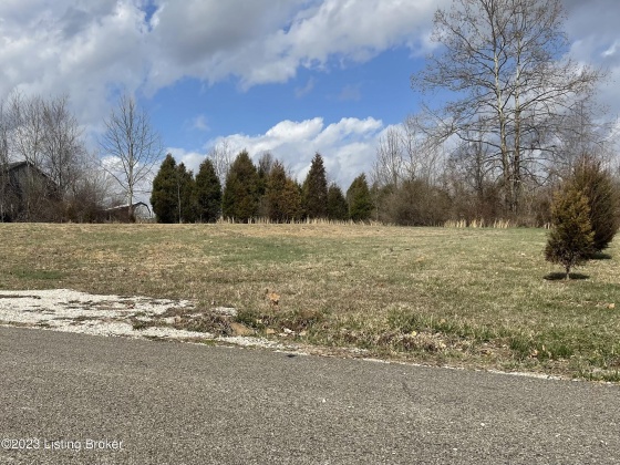 12 & 12S Mercer Bend Rd, Leitchfield, Kentucky 42754, ,Land,For Sale,Mercer Bend,1631796