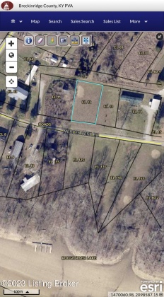 12 & 12S Mercer Bend Rd, Leitchfield, Kentucky 42754, ,Land,For Sale,Mercer Bend,1631796