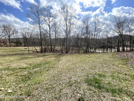 12 & 12S Mercer Bend Rd, Leitchfield, Kentucky 42754, ,Land,For Sale,Mercer Bend,1631796