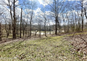 12 & 12S Mercer Bend Rd, Leitchfield, Kentucky 42754, ,Land,For Sale,Mercer Bend,1631796