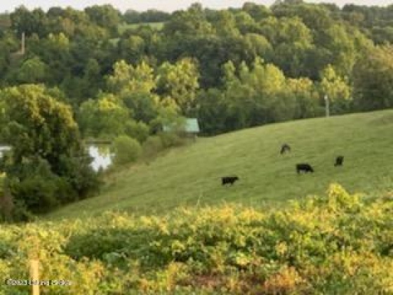 A Little Beech Ln, Mt Eden, Kentucky 40046, ,Land,For Sale,Little Beech,1631817