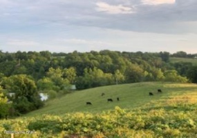 A Little Beech Ln, Mt Eden, Kentucky 40046, ,Land,For Sale,Little Beech,1631817