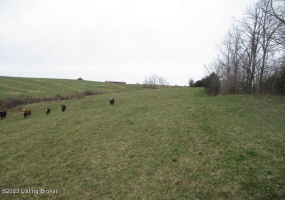 0 Poplar Plains Rd, Flemingsburg, Kentucky 41041, ,Land,For Sale,Poplar Plains,1632122