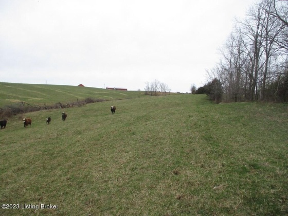 0 Poplar Plains Rd, Flemingsburg, Kentucky 41041, ,Land,For Sale,Poplar Plains,1632122