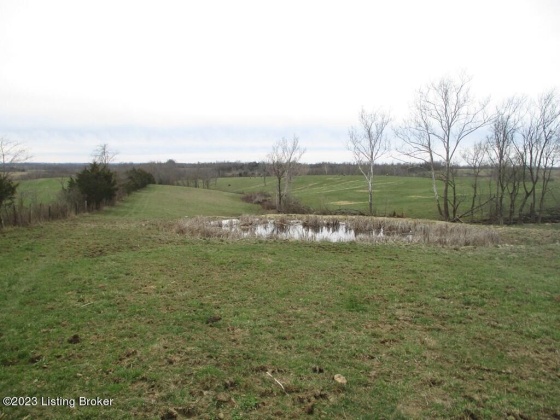 0 Poplar Plains Rd, Flemingsburg, Kentucky 41041, ,Land,For Sale,Poplar Plains,1632122