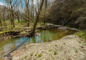 100 Old Dunbar Rd, Russell Springs, Kentucky 42642, ,Land,For Sale,Old Dunbar,1632611