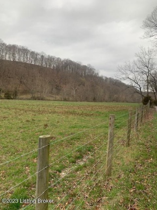 100 Old Dunbar Rd, Russell Springs, Kentucky 42642, ,Land,For Sale,Old Dunbar,1632611