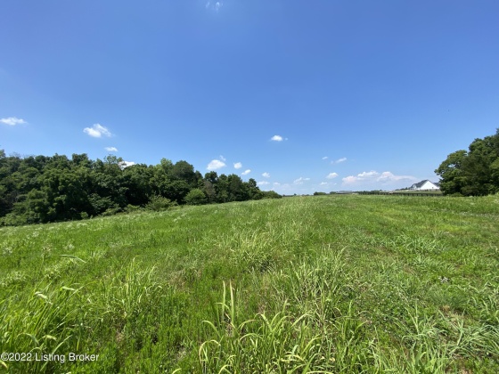 Lot 9 Cheltenham Rd, Finchville, Kentucky 40022, ,Land,For Sale,Cheltenham,1633010