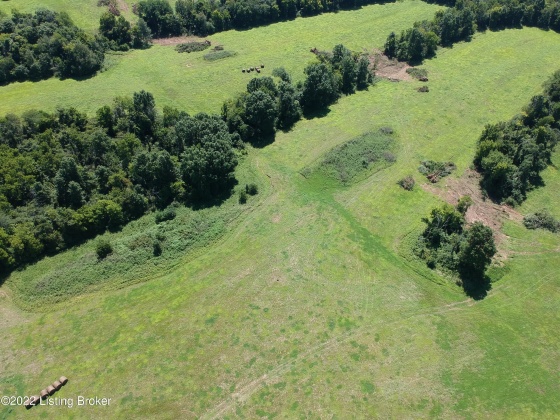 Lot 11 Cheltenham Rd, Finchville, Kentucky 40022, ,Land,For Sale,Cheltenham,1633015