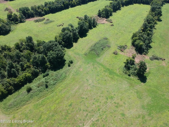 Lot 11 Cheltenham Rd, Finchville, Kentucky 40022, ,Land,For Sale,Cheltenham,1633015