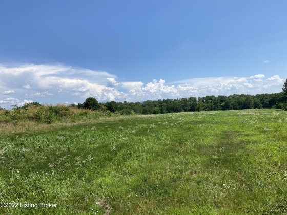 Lot 32 Cheltenham Rd, Finchville, Kentucky 40022, ,Land,For Sale,Cheltenham,1633020