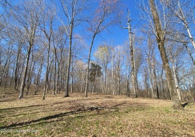 1193 Patriots Landing Ln, Falls Of Rough, Kentucky 40119, ,Land,For Sale,Patriots Landing,1633411