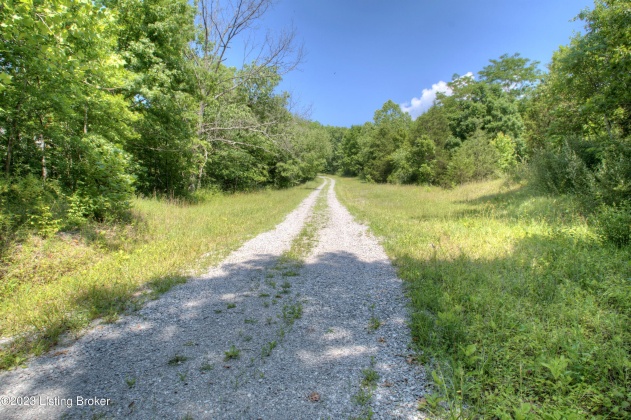 10008 Riddles Run Rd, Union, Kentucky 41091, ,Land,For Sale,Riddles Run,1633424