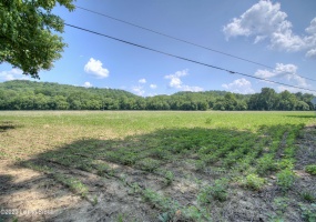 10008 Riddles Run Rd, Union, Kentucky 41091, ,Land,For Sale,Riddles Run,1633424