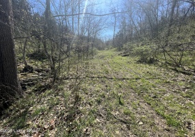 0 Polin Rd, Willisburg, Kentucky 40078, ,Land,For Sale,Polin,1634224