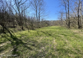 0 Polin Rd, Willisburg, Kentucky 40078, ,Land,For Sale,Polin,1634224