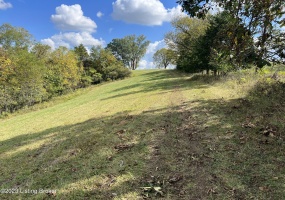 0 Polin Rd, Willisburg, Kentucky 40078, ,Land,For Sale,Polin,1634224