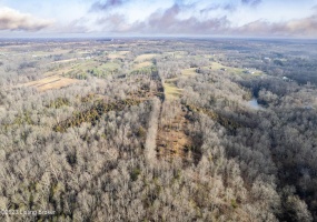 8537 Benson Pike Rd, Bagdad, Kentucky 40003, ,Land,For Sale,Benson Pike,1635584