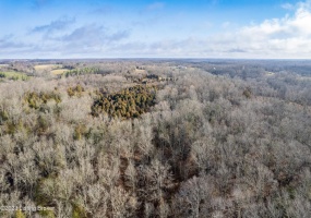 8537 Benson Pike Rd, Bagdad, Kentucky 40003, ,Land,For Sale,Benson Pike,1635584