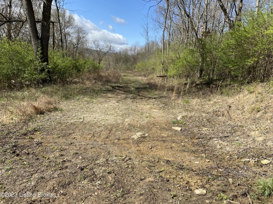 4 Jackson Ridge Rd, Worthville, Kentucky 41098, ,Land,For Sale,Jackson Ridge,1633415