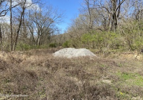 4 Jackson Ridge Rd, Worthville, Kentucky 41098, ,Land,For Sale,Jackson Ridge,1633415