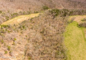 Tract 1 Cat Ridge Rd, Waddy, Kentucky 40076, ,Land,For Sale,Cat Ridge,1636153