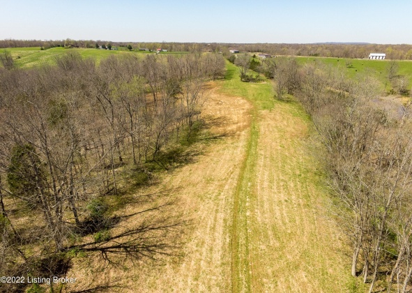 Tract 1 Cat Ridge Rd, Waddy, Kentucky 40076, ,Land,For Sale,Cat Ridge,1636153