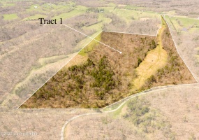 Tract 1 Cat Ridge Rd, Waddy, Kentucky 40076, ,Land,For Sale,Cat Ridge,1636153