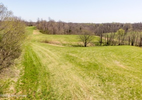 Tract 1 Cat Ridge Rd, Waddy, Kentucky 40076, ,Land,For Sale,Cat Ridge,1636153