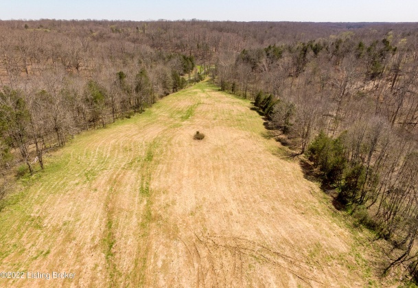 Tract 1 Cat Ridge Rd, Waddy, Kentucky 40076, ,Land,For Sale,Cat Ridge,1636153