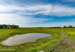 100 Clifty Rd, Leitchfield, Kentucky 42754, ,Land,For Sale,Clifty,1636148