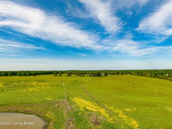 100 Clifty Rd, Leitchfield, Kentucky 42754, ,Land,For Sale,Clifty,1636148