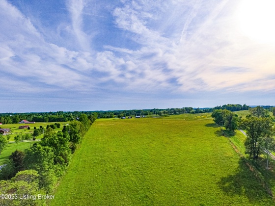 100 Clifty Rd, Leitchfield, Kentucky 42754, ,Land,For Sale,Clifty,1636148